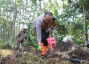 Jagung Varietas Unggul Jadi Langkah Polresta Malang Kota Wujudkan Food