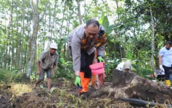 Jagung Varietas Unggul Jadi Langkah Polresta Malang Kota Wujudkan Food