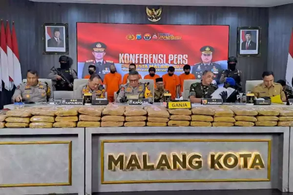 Jaringan Pengedar Ganja Di Malang Terungkap, Polresta Malang Kota Sita