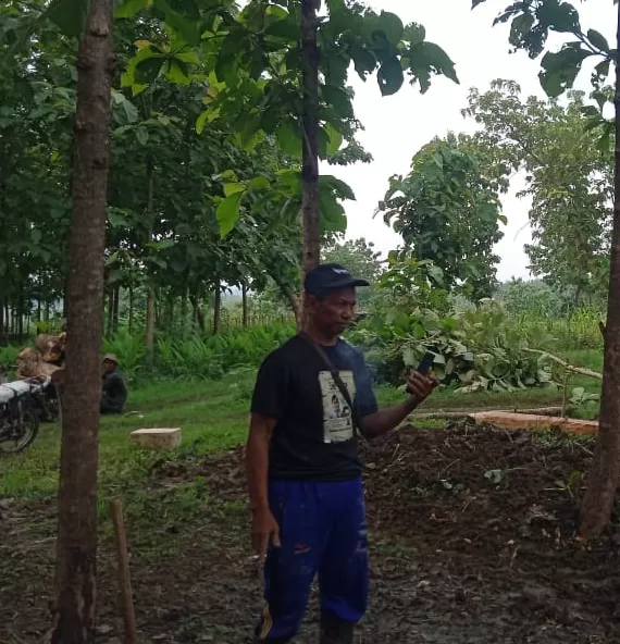 Kph Randublatung Blora Laporkan 18 Anggota Kth Terkait Penebangan Pohon