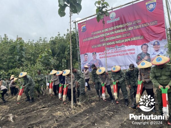 Kolaborasi Perhutani Dan Polda Jateng: Upaya Nyata Dalam Ketahanan Pangan