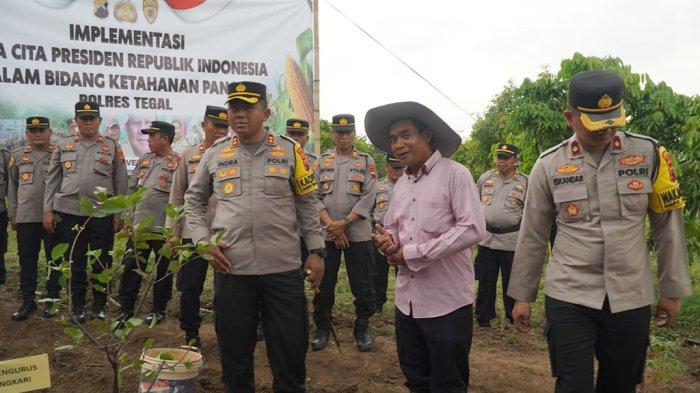 Polres Tegal Ubah Lahan Tak Terpakai Jadi Ikon Ketahanan Pangan di Desa Dukuhwringin