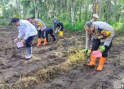 Swasembada Pangan di Kota Malang, Lahan Tidur Jadi Prioritas Program