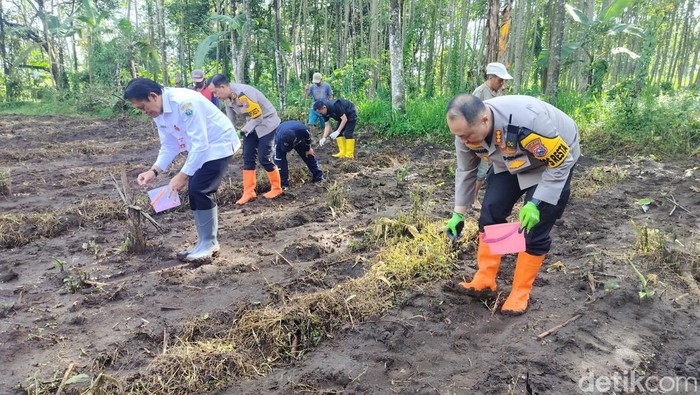 Lahan Tidur Di Kota Malang Dikelola Untuk Wujudkan Swasembada Pangan