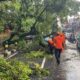 Lalin Mt Haryono Kota Malang Macet Panjang Akibat Pohon Tumbang