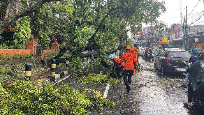 Lalin MT Haryono Kota Malang Macet Panjang Akibat Pohon Tumbang