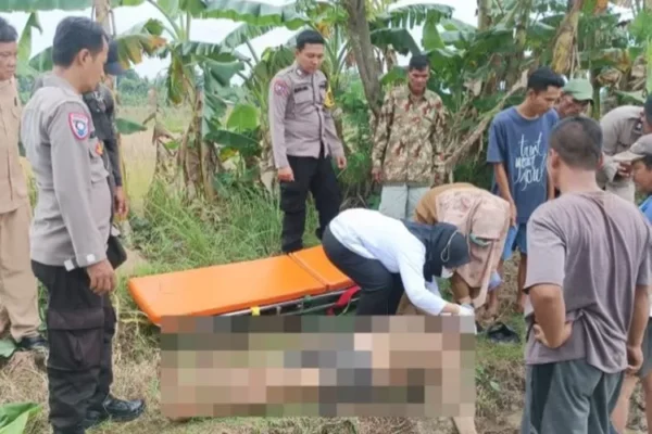 Mayat Terkelungkup Di Sawah Sragi, Keluarga Berkeras Tolak Autopsi