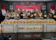 Penyelamatan 54.526 Jiwa, Polresta Malang Kota Sita 166,58 Kg Ganja