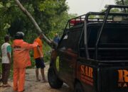 Sukoharjo Dilanda Hujan Deras dan Angin Kencang, Pohon Tumbang Timpa Rumah