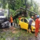 Pohon Tumbang Di Terusan Dieng, Malang City Point Jadi Saksi