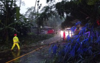 Polisi Banjarnegara Sigap Atasi Pohon Bambu Tumbang Yang Ganggu Lalu