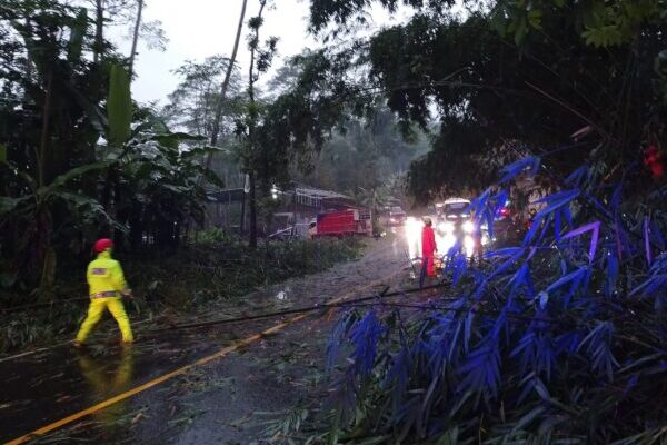 Polisi Banjarnegara Sigap Atasi Pohon Bambu Tumbang yang Ganggu Lalu Lintas di Sigaluh