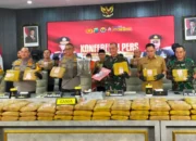 Polda Jatim Ungkap Jaringan Pengedar Ganja Medan-Malang-Jakarta, 166 Kg Diamankan