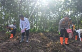 Polresta Malang Kota Bersama Dispangtan Tanam Jagung Di Lahan Tidur