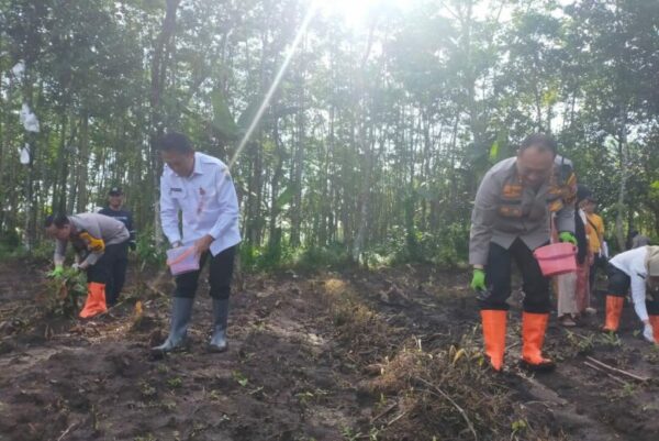 Polresta Malang Kota Tanam Jagung Varietas Unggul Demi Swasembada Pangan Nasional