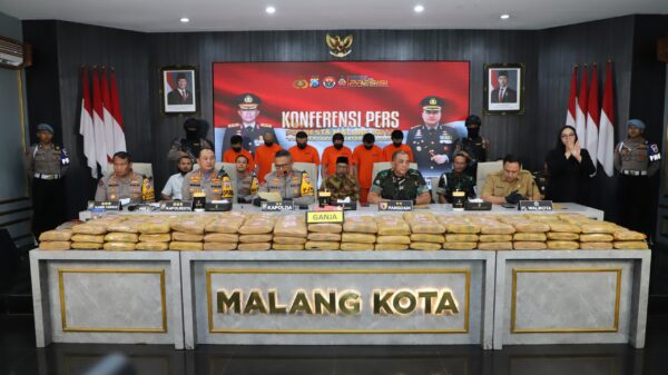 Polresta Malang Kota Ungkap Sindikat Antar Provinsi, 166 Kg Ganja