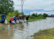 Ketahanan Pangan Prioritas, Ini Program Pemkab Sukoharjo