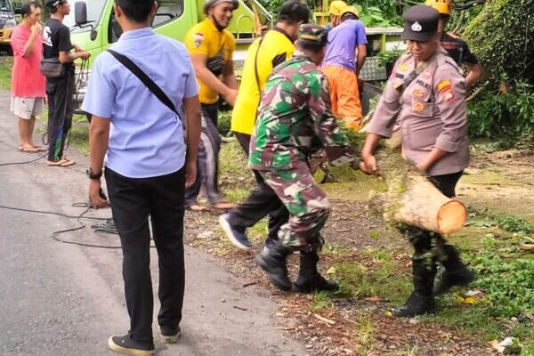 Respons Cepat Polsek Pekutatan, Pohon Tumbang di Rumah Warga Diatasi