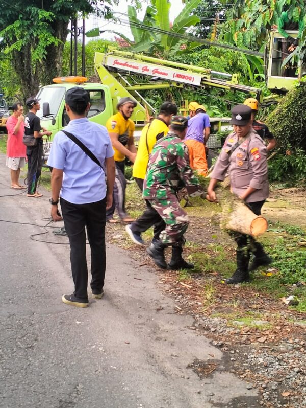 Respons Cepat Polsek Pekutatan, Pohon Tumbang Di Rumah Warga Diatasi