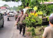 Rumah Warga Tertimpa Pohon, Polsek Pekutatan Beraksi Sigap