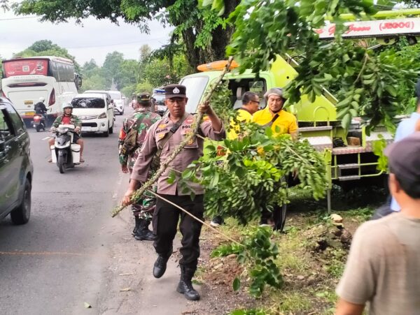 Rumah Warga Tertimpa Pohon, Polsek Pekutatan Beraksi Sigap