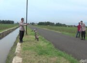 Viral! Sekelompok Remaja Terlibat Baku Hantam di Area Sawah Banjarnegara