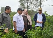 Kementan RI Tinjau Food Estate, Bupati Humbahas Berikan Dukungan Penuh