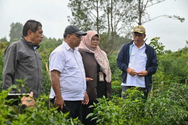 Sinergi Bupati Humbahas Dan Kementan Ri Untuk Optimalkan Food Estate