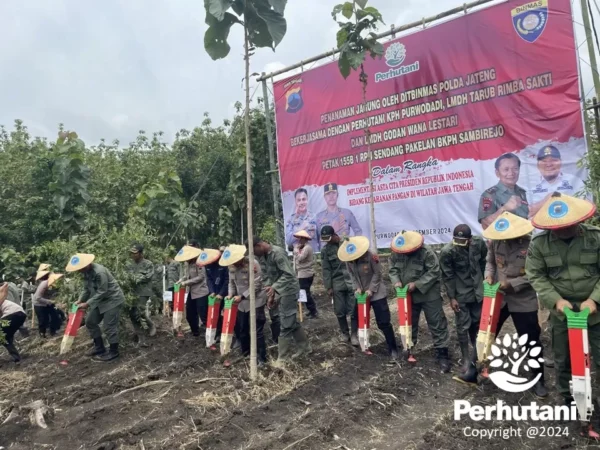 Sinergi Perhutani Dan Polda Jateng: Langkah Nyata Untuk Ketahanan Pangan