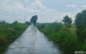 Wanita Ambarawa Jadi Korban Perampasan Motor, Dibuang Di Klaten Oleh