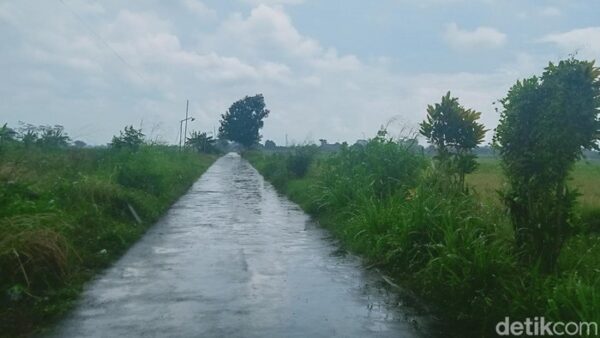 Wanita Ambarawa Jadi Korban Penipuan, Motor Dirampas Teman Kencan dan Dibuang di Klaten