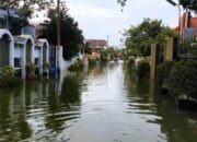 Warga 7 Kecamatan Pesisir Jepara Terimbas Banjir Rob, Semarang Juga Terdampak