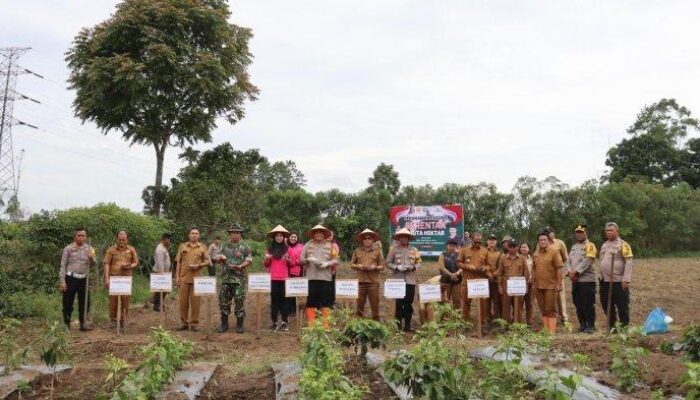 Kapolres Humbahas Pimpin Gerakan Penanaman Jagung Serentak untuk Ketahanan Pangan Nasional