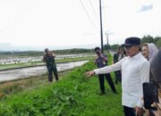 80 Hektare Sawah Terancam Kekeringan Akibat Normalisasi Sungai Beringin