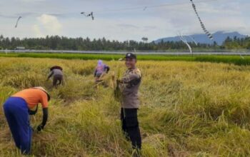 Aktif Di Lapangan, Bhabinkamtibmas Desa Pergung Perkuat Swasembada Pangan