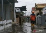 Bnpb: Tim Gabungan Tangani 3.987 Warga Terdampak Banjir Rob Di