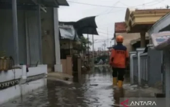 Bnpb: Tim Gabungan Tangani 3.987 Warga Terdampak Banjir Rob Di