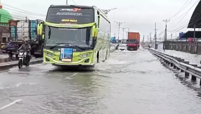 Hati-Hati! Banjir Genangi Jalur Pantura Demak-Semarang, Kendaraan Terhambat