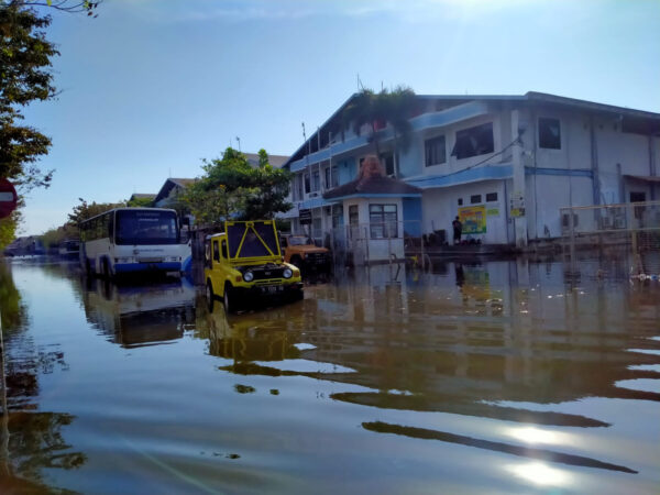 Banjir Rob Mengintai Pantura Jawa Tengah, Warga Dihimbau Waspada