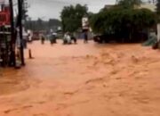 Banjir Di Jalur Pantura Batang Bikin Geger, Ramai Di Medsos