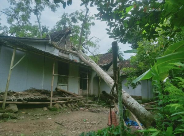 Banyumas Dilanda Angin Kencang, Sejumlah Rumah Rusak Tertimpa Pohon