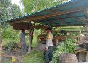 Bhabinkamtibmas Pantau Ternak Kambing Warga Candikusuma Untuk Wujudkan Ketahanan Pangan