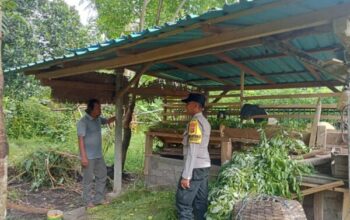 Bhabinkamtibmas Pantau Ternak Kambing Warga Candikusuma Untuk Wujudkan Ketahanan Pangan