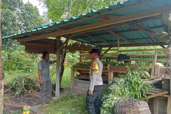 Bhabinkamtibmas Pantau Ternak Kambing Warga Candikusuma untuk Wujudkan Ketahanan Pangan