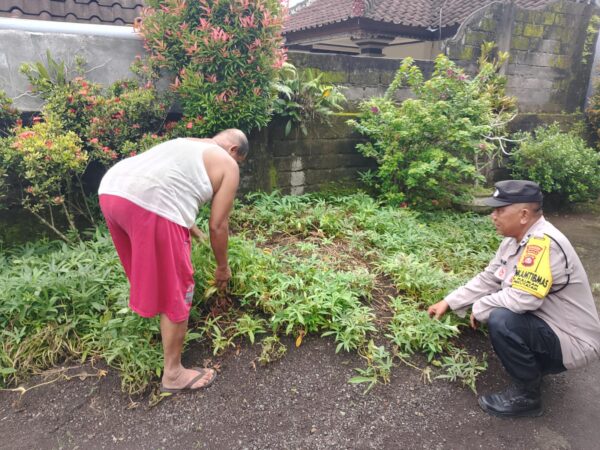 Bhabinkamtibmas Pekutatan Cek Langsung Pekarangan Pangan Sehat Warga