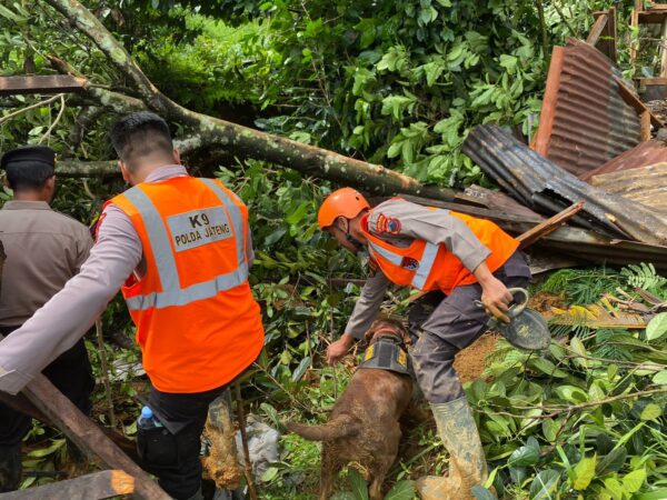 Brimob Bergerak, Selamatkan Korban Banjir Dan Longsor Di Wilayah Jateng