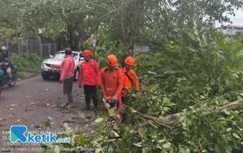 Cuaca Ekstrem, 9 Pohon Di Kota Malang Roboh Diterjang Angin