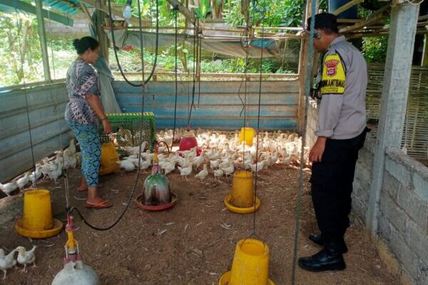 Program Pekarangan Bergizi di Desa Gumbrih: Peran Aktif Bhabinkamtibmas