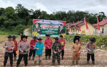 Dukung Ketahanan Pangan Nasional, Polres Lamandau Gelar Penanaman Jagung 1