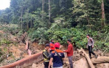 Evakuasi Korban Longsor Di Damang Batu: Polsek Kahayan Hulu Utara